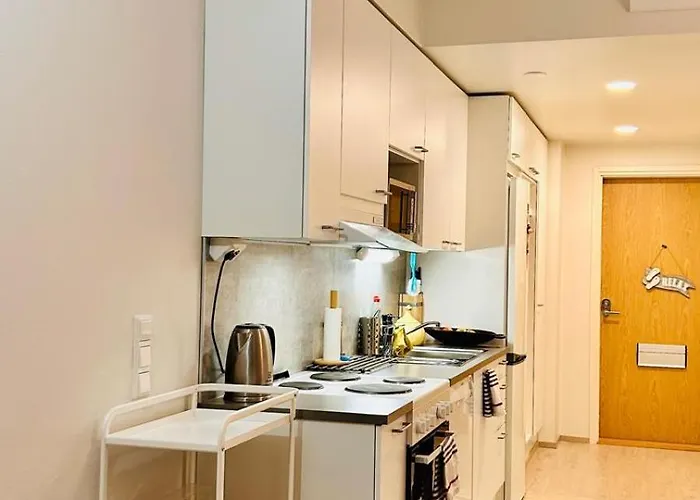 Convenient Airport Beside Big Mall Апартаменты Вантаа